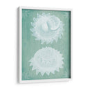 Conchas Blancas En Turquesa - Fab Funky | Cuadro decorativo de Canvas Lab