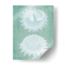 Conchas Blancas En Turquesa - Fab Funky | Cuadro decorativo de Canvas Lab