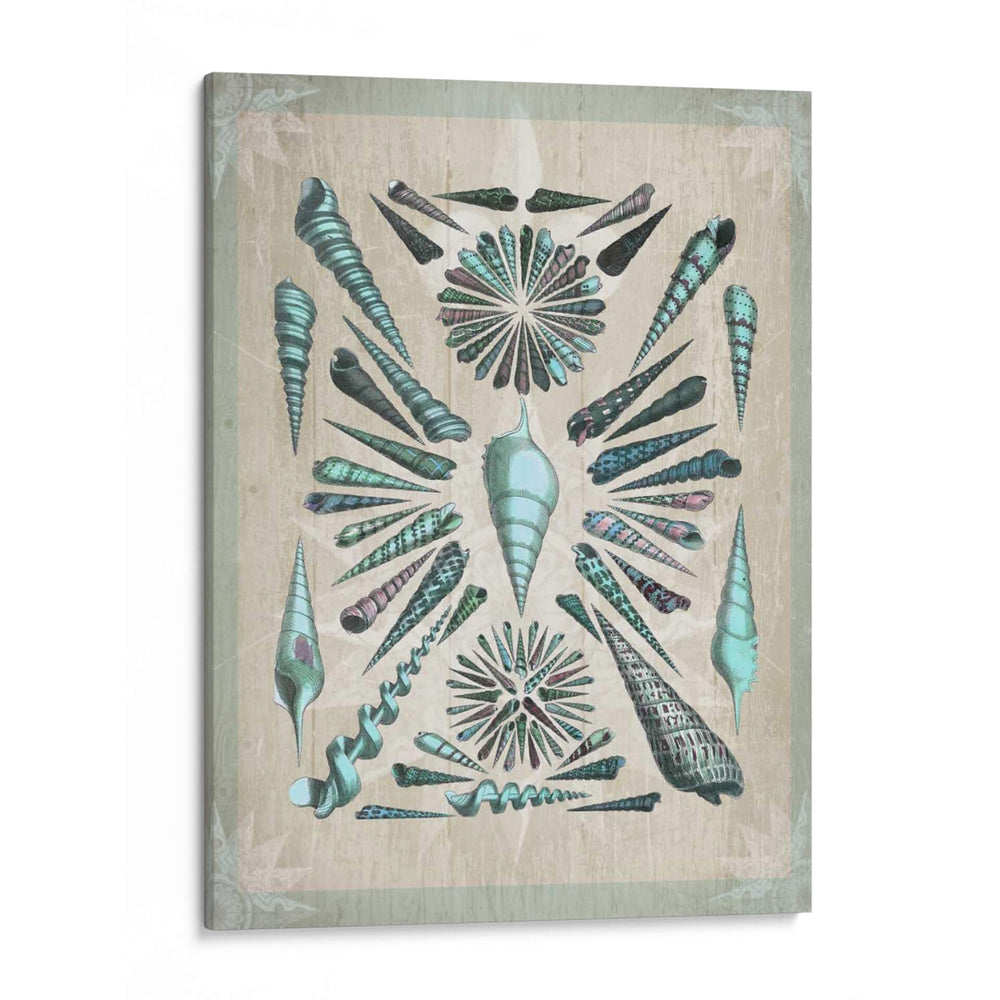 Colección Shell 5 - Fab Funky | Cuadro decorativo de Canvas Lab