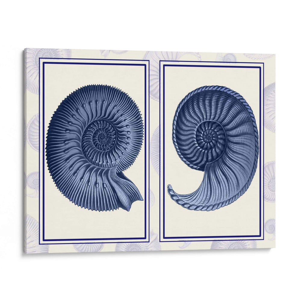 Conchas De Nautilus Índigo Azul - Fab Funky | Cuadro decorativo de Canvas Lab