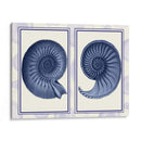 Conchas De Nautilus Índigo Azul - Fab Funky | Cuadro decorativo de Canvas Lab