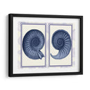 Conchas De Nautilus Índigo Azul - Fab Funky | Cuadro decorativo de Canvas Lab