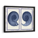 Conchas De Nautilus Índigo Azul - Fab Funky | Cuadro decorativo de Canvas Lab