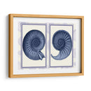 Conchas De Nautilus Índigo Azul - Fab Funky | Cuadro decorativo de Canvas Lab
