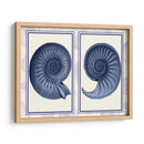 Conchas De Nautilus Índigo Azul - Fab Funky | Cuadro decorativo de Canvas Lab