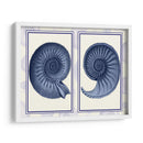 Conchas De Nautilus Índigo Azul - Fab Funky | Cuadro decorativo de Canvas Lab