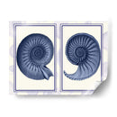 Conchas De Nautilus Índigo Azul - Fab Funky | Cuadro decorativo de Canvas Lab
