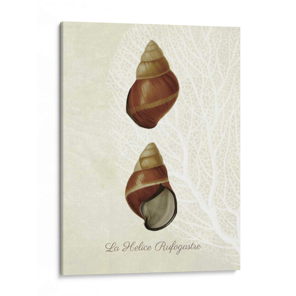 Estampado Francés - Fab Funky | Cuadro decorativo de Canvas Lab