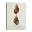 Estampado Francés - Fab Funky | Cuadro decorativo de Canvas Lab