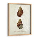 Estampado Francés - Fab Funky | Cuadro decorativo de Canvas Lab