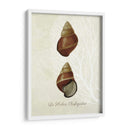 Estampado Francés - Fab Funky | Cuadro decorativo de Canvas Lab