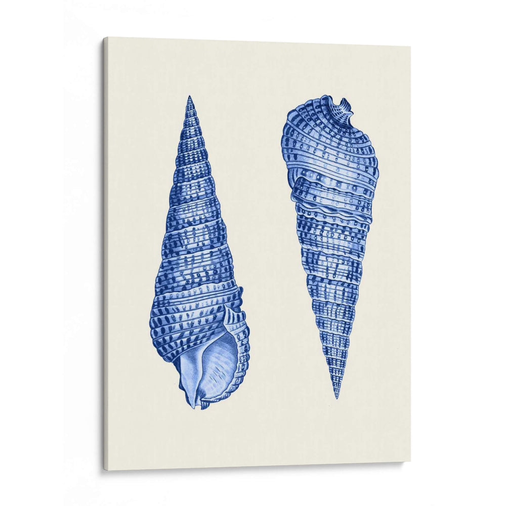 2 Conchas Azules - Fab Funky | Cuadro decorativo de Canvas Lab