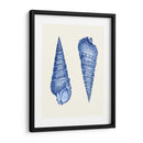 2 Conchas Azules - Fab Funky | Cuadro decorativo de Canvas Lab