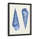 2 Conchas Azules - Fab Funky | Cuadro decorativo de Canvas Lab