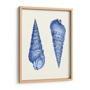 2 Conchas Azules - Fab Funky | Cuadro decorativo de Canvas Lab