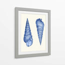 2 Conchas Azules - Fab Funky | Cuadro decorativo de Canvas Lab