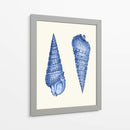2 Conchas Azules - Fab Funky | Cuadro decorativo de Canvas Lab