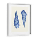 2 Conchas Azules - Fab Funky | Cuadro decorativo de Canvas Lab