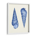 2 Conchas Azules - Fab Funky | Cuadro decorativo de Canvas Lab