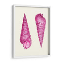 Conchas Rosadas A - Fab Funky | Cuadro decorativo de Canvas Lab