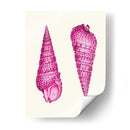 Conchas Rosadas A - Fab Funky | Cuadro decorativo de Canvas Lab
