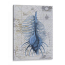 Colección De Seashell 1 B - Fab Funky | Cuadro decorativo de Canvas Lab