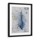 Colección De Seashell 1 B - Fab Funky | Cuadro decorativo de Canvas Lab