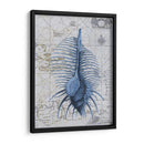 Colección De Seashell 1 B - Fab Funky | Cuadro decorativo de Canvas Lab