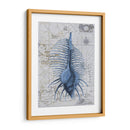 Colección De Seashell 1 B - Fab Funky | Cuadro decorativo de Canvas Lab