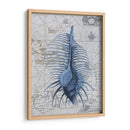 Colección De Seashell 1 B - Fab Funky | Cuadro decorativo de Canvas Lab