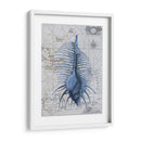 Colección De Seashell 1 B - Fab Funky | Cuadro decorativo de Canvas Lab