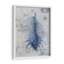 Colección De Seashell 1 B - Fab Funky | Cuadro decorativo de Canvas Lab