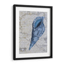 Colección Seashell 1 C - Fab Funky | Cuadro decorativo de Canvas Lab