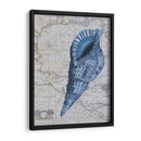 Colección Seashell 1 C - Fab Funky | Cuadro decorativo de Canvas Lab