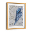 Colección Seashell 1 C - Fab Funky | Cuadro decorativo de Canvas Lab