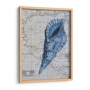 Colección Seashell 1 C - Fab Funky | Cuadro decorativo de Canvas Lab