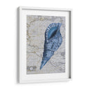 Colección Seashell 1 C - Fab Funky | Cuadro decorativo de Canvas Lab