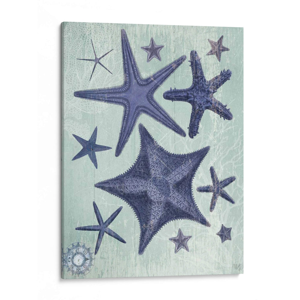 Colección De Seashell 2 D - Fab Funky | Cuadro decorativo de Canvas Lab