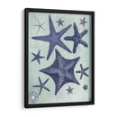 Colección De Seashell 2 D - Fab Funky | Cuadro decorativo de Canvas Lab
