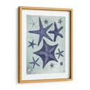 Colección De Seashell 2 D - Fab Funky | Cuadro decorativo de Canvas Lab