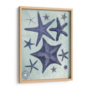 Colección De Seashell 2 D - Fab Funky | Cuadro decorativo de Canvas Lab