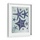 Colección De Seashell 2 D - Fab Funky | Cuadro decorativo de Canvas Lab