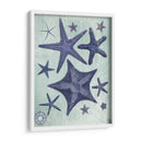Colección De Seashell 2 D - Fab Funky | Cuadro decorativo de Canvas Lab