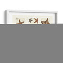 Impresión De Estrellas De Mar En 3 Paneles - Fab Funky | Cuadro decorativo de Canvas Lab