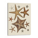 Colección De Estrellas De Mar 1 - Fab Funky | Cuadro decorativo de Canvas Lab