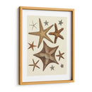 Colección De Estrellas De Mar 1 - Fab Funky | Cuadro decorativo de Canvas Lab