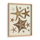 Colección De Estrellas De Mar 1 - Fab Funky | Cuadro decorativo de Canvas Lab