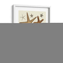 Colección De Estrellas De Mar 1 - Fab Funky | Cuadro decorativo de Canvas Lab