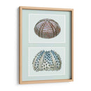 Urchin De Mar Impresión En 2 Paneles - Fab Funky | Cuadro decorativo de Canvas Lab