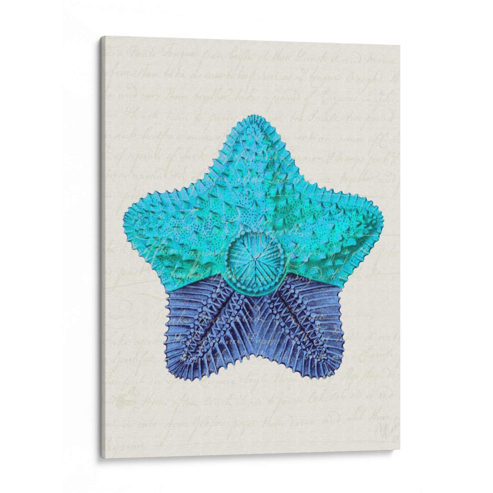 Estrella De Mar En Tonos De Azul C - Fab Funky | Cuadro decorativo de Canvas Lab